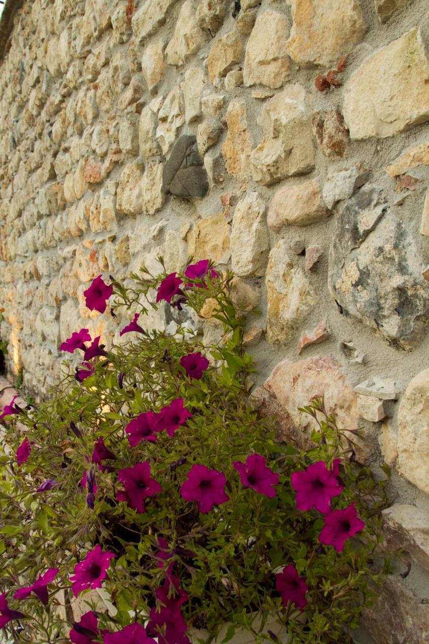 Villa Di Cazzano - Bioluxury Living Soave  Exteriér fotografie